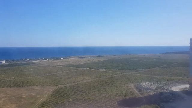 В доме новое растение Аспарагус. смотреть онлайн