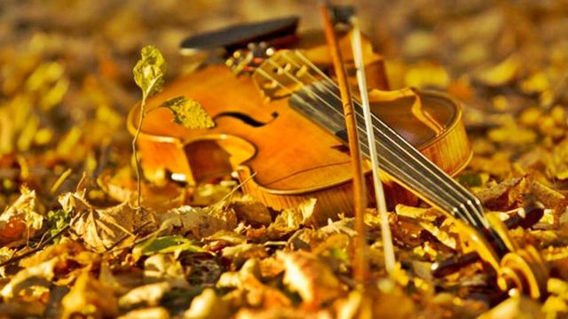 Divan je kiceni Srem Starogradska pesma obrada prof Miki смотреть онлайн