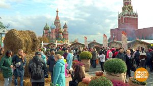 На Красной площади - вкусно и весело! Доброе утро. Фрагмент выпуска от 07.10.2019