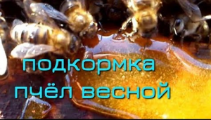 Весенняя Подкормка Пчёл. Зачем? Научный подход! Обучающая информация.