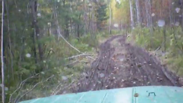 Сибирская тайга - вид из УАЗика смотреть онлайн