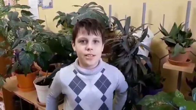 Пожелания мамам 2020 смотреть онлайн