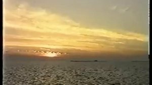 Xайдар Бигичев  Татарская народная песня Тэфтилэу