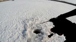 ЗИМНЯЯ РЫБАЛКА НА СУДАКА В ГЛУХОЗИМЬЕ! ЭХОЛОТ ПРАКТИК 8 V2