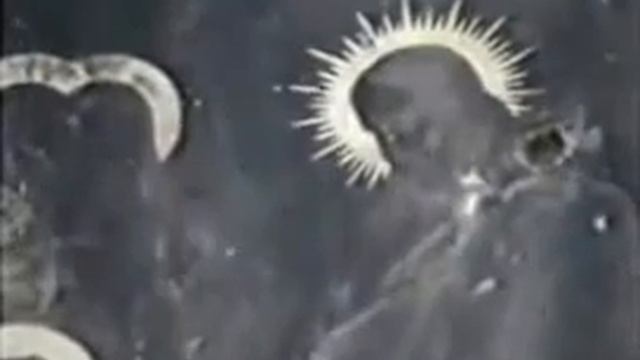 Видимое и сокровенное смотреть онлайн