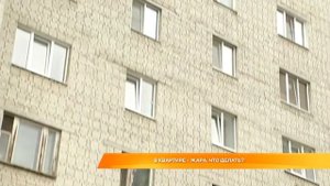 В квартире - жара. Что делать?