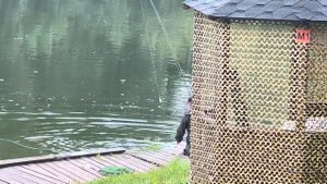 Амур на бомбарду