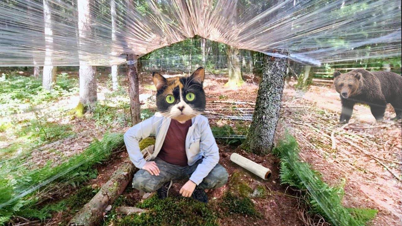 Дом в лесу из пищевой пленки