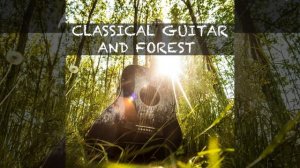 Классичесская Гитара и звуки Природы #4