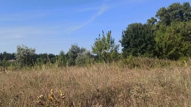 Убывающая луна с 23 августа - 6 сентября 2021.Что можно и нельзя делать. Фазы луны. Время очищения.