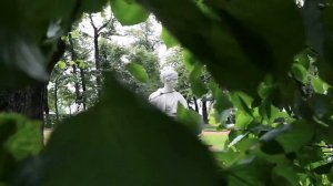 KudaGo Петербург: Летний сад