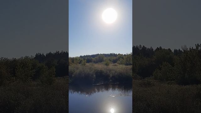 КАКОЕ ПРЕИМУЩЕСТВО НАМ ДАЕТ ЕСТЕСТВЕННАЯ ВЛАГА ДЛЯ ОВОЩЕЙ ФРУКТЫ ЯГОДЫ ВИНОГРАД смотреть онлайн