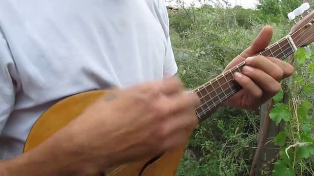 mandolina de carton instrumentos de reciclaje by sachaluthiers смотреть онлайн