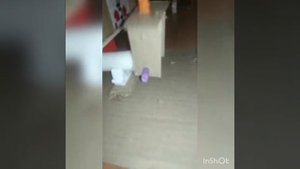 Педали, КПП, руль. Из картона