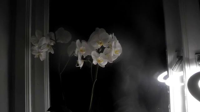 Аромат её уст... смотреть онлайн