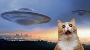 ШОК!ИНТЕРВЬЮ С ИНОПЛАНЕТЯНИНОМ НА ЗОНЕ 51???