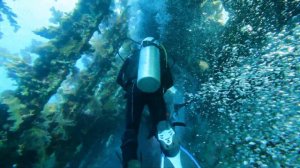 Затонувшие корабли Красного моря