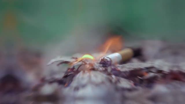 Не курите в лесу Социальная реклама МЧС России смотреть онлайн