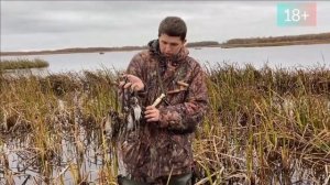 Охота на бекаса. Искали утку, нашли бекаса.