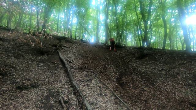 Эндуро!!! Лесные движения