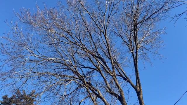 Золотой Путь Духовного Восхождения (Путь предложенный Шри Ауробиндо). смотреть онлайн