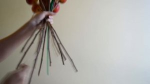 Флористика Букет из яблок в спиральной технике (Мастер Класс) Flowers. Floral lessons.