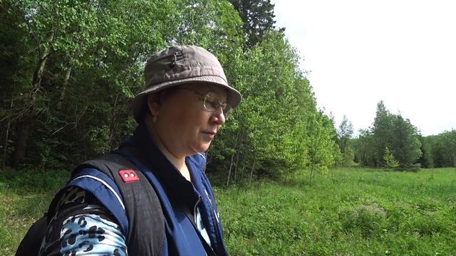 в лес 2 июня 2023 1ч смотреть онлайн