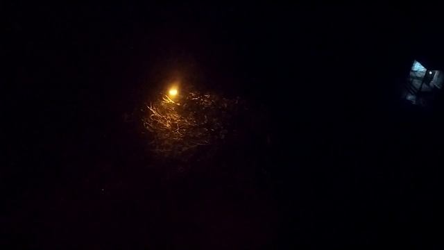 ЗАПОРОЖЬЕ БАБАХАЕТ ПРИРОДА 07.03.23 смотреть онлайн