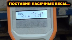Пасечные весы на Главный Взяток в СПб.