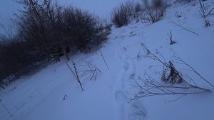 РЫБАЛКА В НОВЫХ МЕСТАХ . ВСЕХ С НОВЫМ ГОДОМ 2024