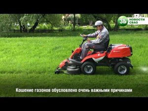 Зачем стригут газон?
