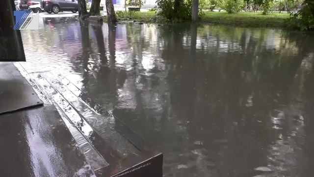 Что делать с огромной лужей во дворе?