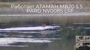 Атаман мб20 и PARD NV008S lrf