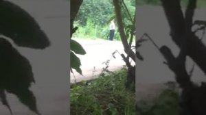 Бабушка из соседнего дома достала.Орет на всех ,а всю зиму спит