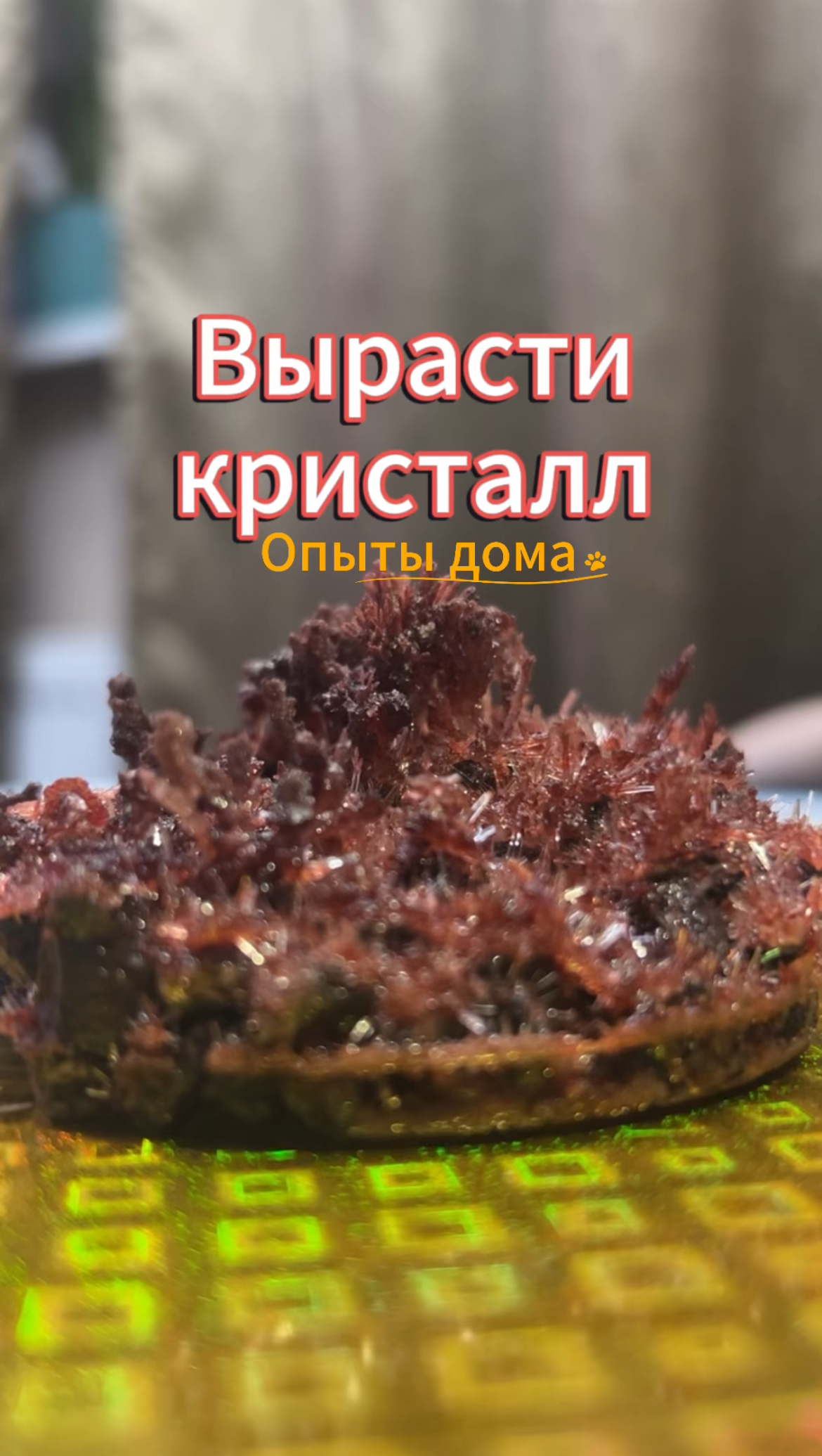 Как вырастить кристалл за 1 день