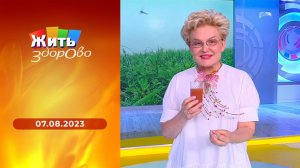 Жить здорово! Выпуск от 07.08.2023