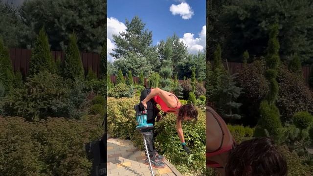 ✅ПЕРВАЯ СТРИЖКА СПИРЕИ В СЕЗОНЕ‼️ смотреть онлайн