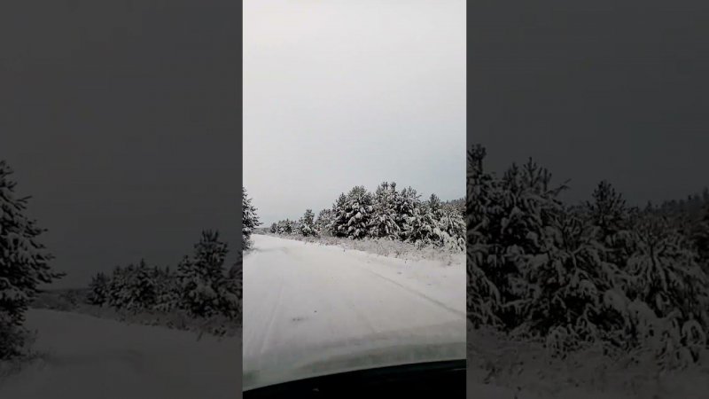 ❄️К реке... По красивой зимней дороге❄️