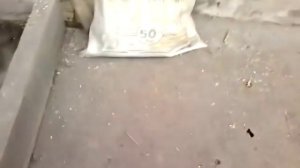 Прибор для убоя свиней