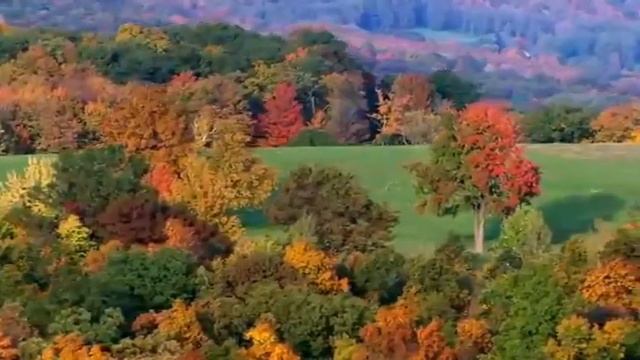 Е. Крылатов "Что может быть лучше России". Исполняет Сусанна Масленникова. смотреть онлайн