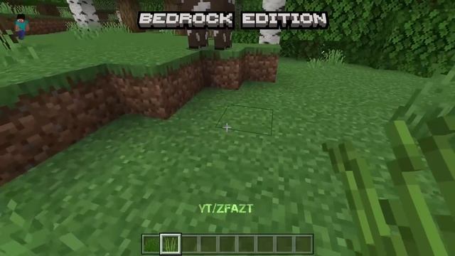 Java vs Bedrock