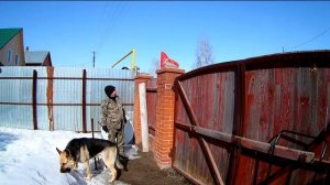 Деревенский домик/  Наш Флаг.