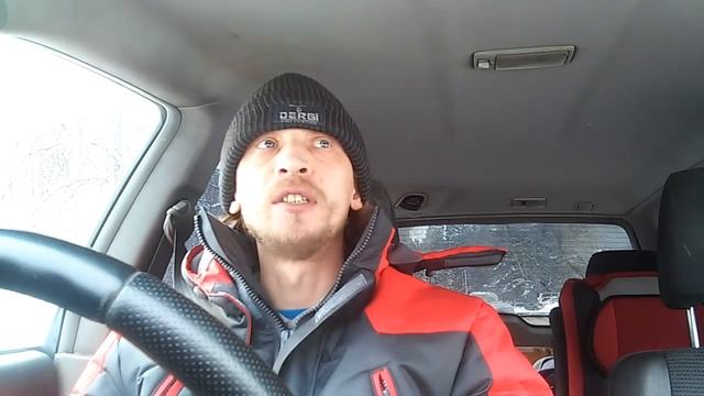 Как научить собаку ездить в машине смотреть онлайн