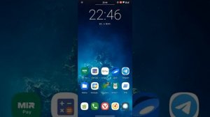 Как скрыть mir pay от ROOT magisk