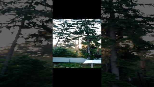 Время раннее 5:15 утра, уже скоро начнётся тёплый летний день, солнышко уже выглянуло из-за деревьев
