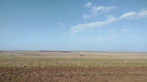 Писаревка фроловский район Волгоградская область