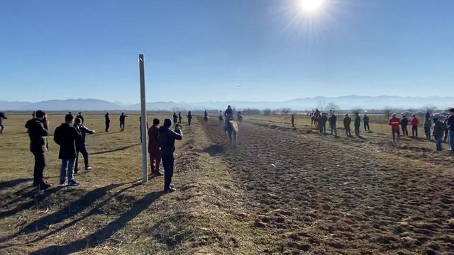 Скачка в Гойтах. Дистанция 4800м. 28 Ноября 2020 года смотреть онлайн