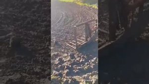 Отзыв покупателя на Shifeng SF-244C после года эксплуатации