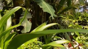 Как простить обиду. Техника прощения обид.