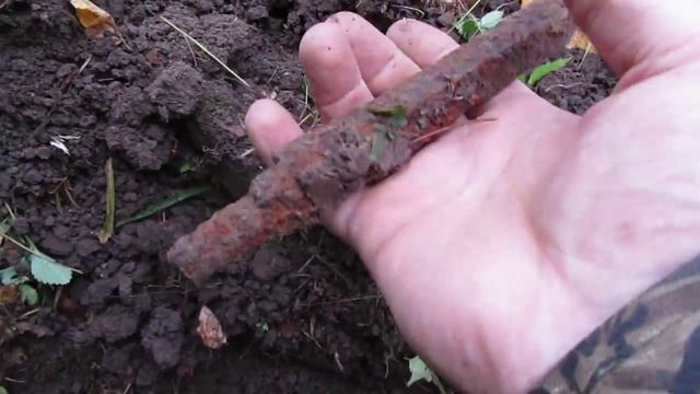 Поиск монет и грибов смотреть онлайн